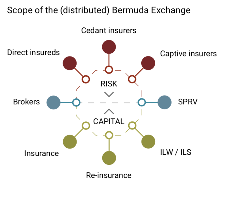 Scope of the Bermuda Exchange - Source: ChainThat